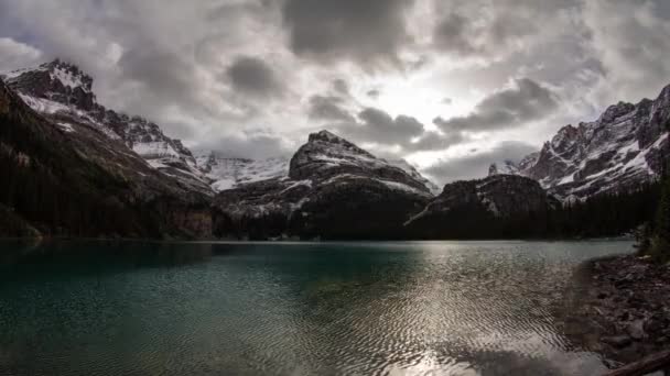 Bewolkte ochtend op Lake O'Hara — Stockvideo