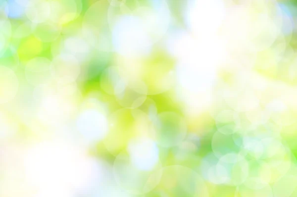 Abstracte voorjaar groene achtergrond en licht reflecteren — Stockfoto