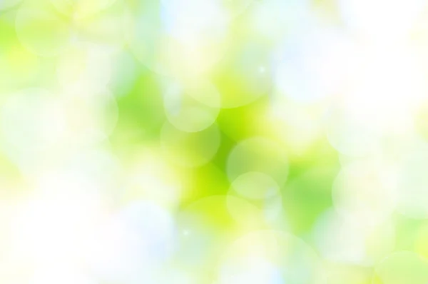 Abstract spring green background and light reflect — Stock Photo, Image