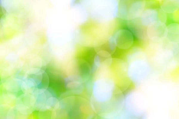 Abstract spring green background and light reflect — Stock Photo, Image