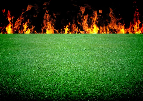 Soccer field and the bright lights — Stock Photo, Image