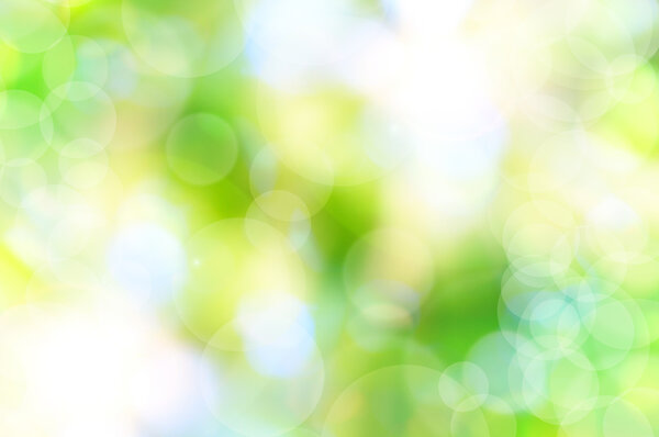 abstract spring green background and light reflect