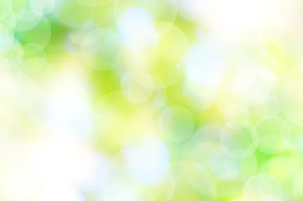 Abstract spring green background and light reflect — Stock Photo, Image