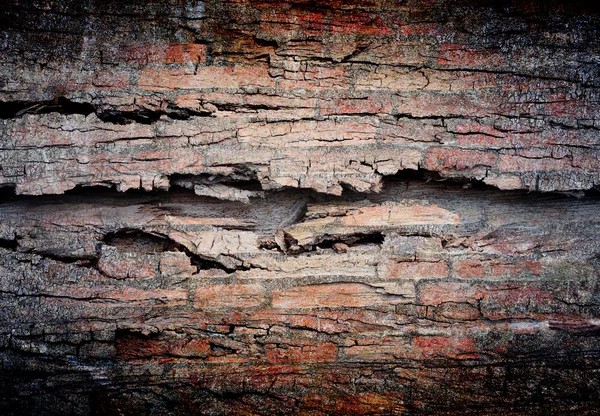 Abstract the old grunge wall for background — Stock Photo, Image