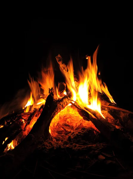 밤에 모닥불의 불꽃 — 스톡 사진
