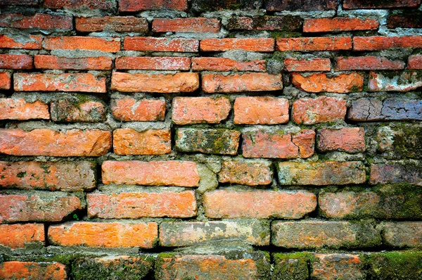 Abstract the old grunge wall for background — Stock Photo, Image