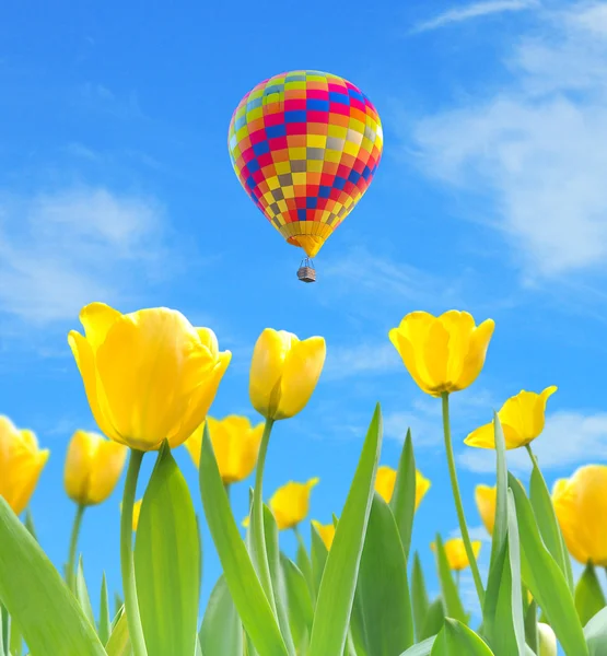 Kleurrijke hete luchtballon met mooie gele tulpen — Stockfoto