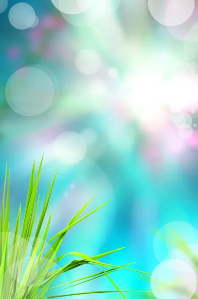 Abstract beautiful fresh grass and light reflect in morning — Stock Photo, Image