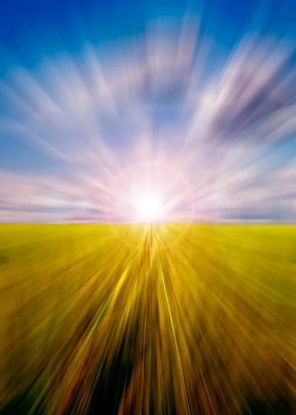 Movimento astratto prato e cielo offuscati con sole — Foto Stock