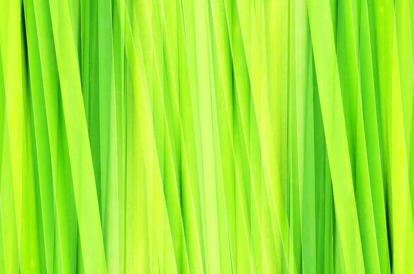 Abstract green leaf for background — Stock Photo, Image