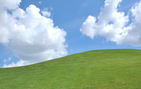 Frisches Gras und schöner blauer Himmel — Stockfoto