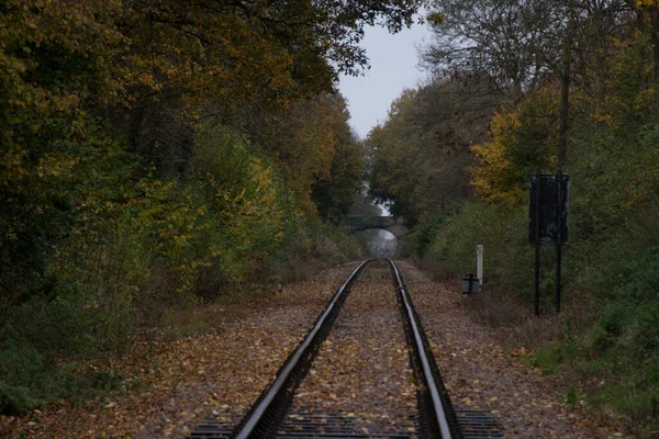秋の鉄道遺産線 — ストック写真