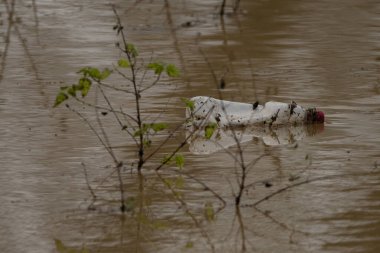 Plastik şişe Welland nehrinde yüzüyor, ön planda kahverengi su ve bitkiler var.. 
