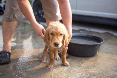 Altın geri almak banyo alır