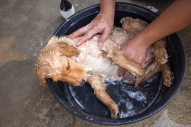 Altın geri almak banyo alır