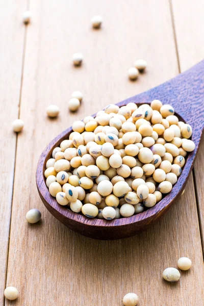 Soybeans in wooden spoon — Stock Photo, Image