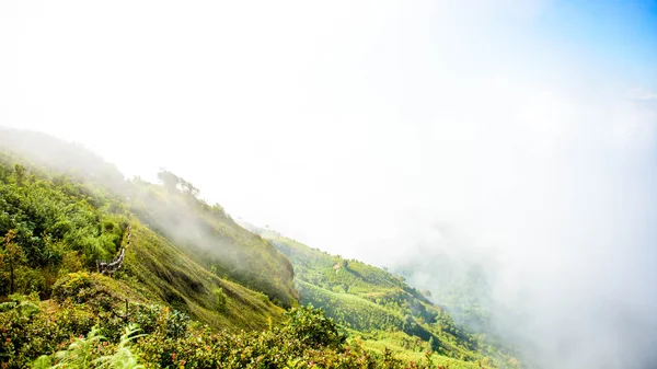 Kew Mae Pan Telifsiz Stok Fotoğraflar