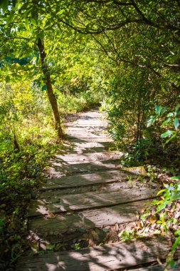 Kew mae pan doğa iz