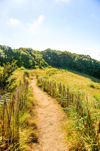 Kew Mae Pan