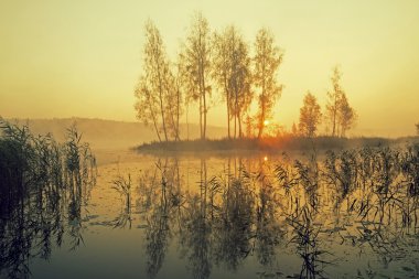 puslu sabah