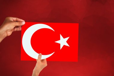 Türkiye bayrağı, bayrak tasarım ve sunu çalışması