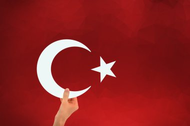 Türkiye bayrağı, bayrak tasarım ve sunu çalışması