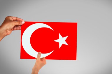 Türkiye bayrağı, bayrak tasarım ve sunu çalışması