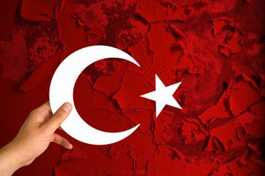 Türkiye bayrağı, bayrak tasarım ve sunu çalışması