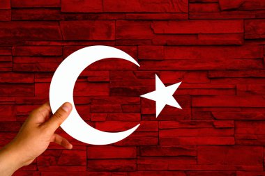 Türkiye bayrağı, bayrak tasarım ve sunu çalışması