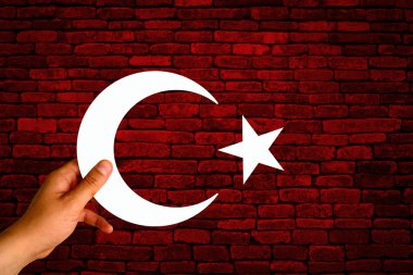 Türkiye bayrağı, bayrak tasarım ve sunu çalışması