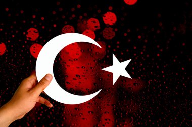 Türkiye bayrağı, bayrak tasarım ve sunu çalışması