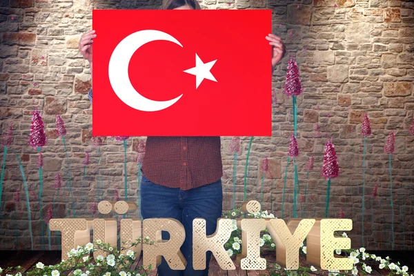 Bandiera turca, Turchia, Flag Design — Foto Stock