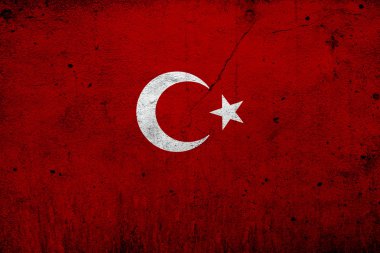 Türkiye bayrağı, bayrak tasarım ve sunu çalışması