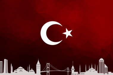 Türkiye bayrağı, bayrak tasarım ve sunu çalışması