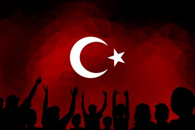 Türkiye bayrağı, bayrak tasarım ve sunu çalışması