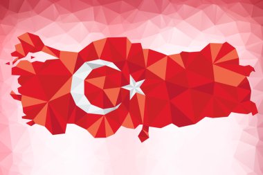 Türkiye bayrağı, bayrak tasarım ve sunu çalışması