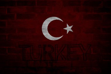 Türk bayrağı, Türk harita tasarım