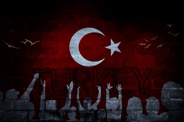 Türk bayrağı, Türk harita tasarım