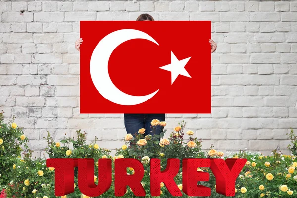 Türk bayrağı, Türk harita, Dizayn — Stok fotoğraf
