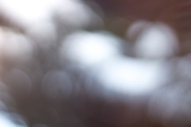 Bulanık arkaplan soyut bulanıklığı