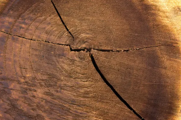 Bronw Wood Texture Background — Zdjęcie stockowe