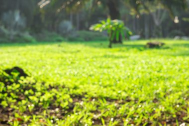 kahverengi ahşap doku arkaplanı.