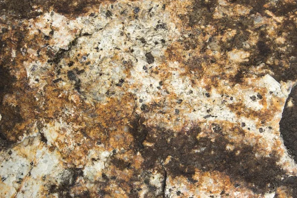 Surface Stone Brown Tint — Stock Photo, Image