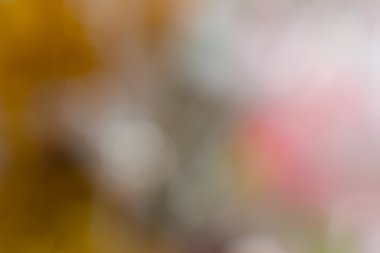 Bokeh odaklanmış ışıklarla soyut arkaplan