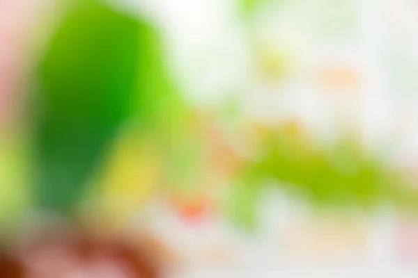 Blurred Background Green Tree Garden — ストック写真