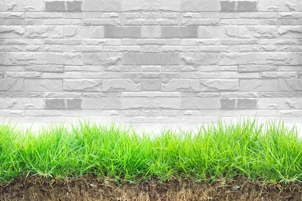 Brick Wall Background Green Plant — Stockfoto