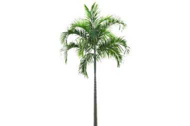 kahverengi ahşap doku arkaplanı.