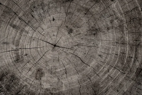 Wood Texture Textured Old Oak — Fotografia de Stock