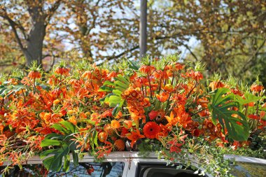 Sassenheim, Hollanda - 21 Nisan 2018 Bloemencorso Bollenstreek Geleneksel Halk Bayramı