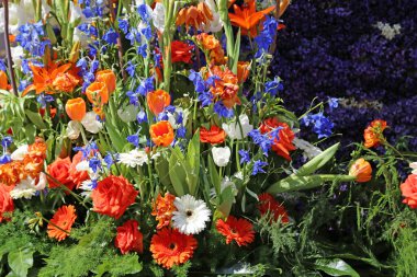 Sassenheim, Hollanda - 21 Nisan 2018 Bloemencorso Bollenstreek Geleneksel Halk Bayramı